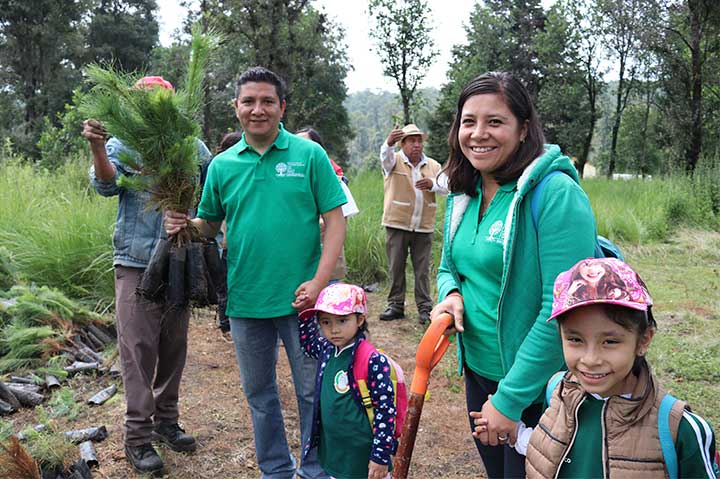 REFORESTACIÓN 2019