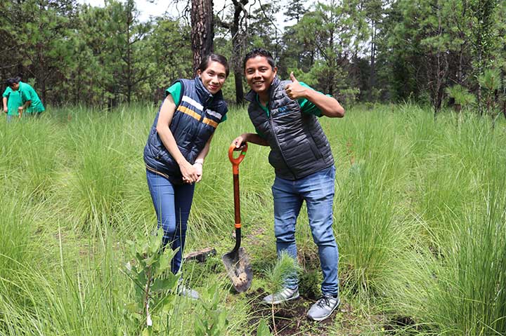 REFORESTACIÓN 2019