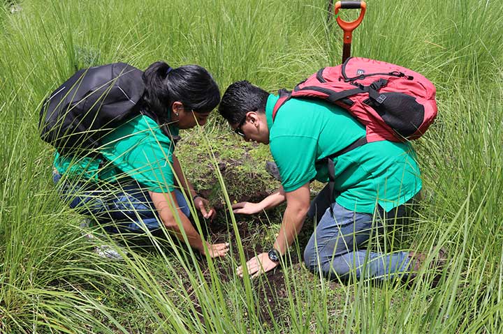 REFORESTACIÓN 2019