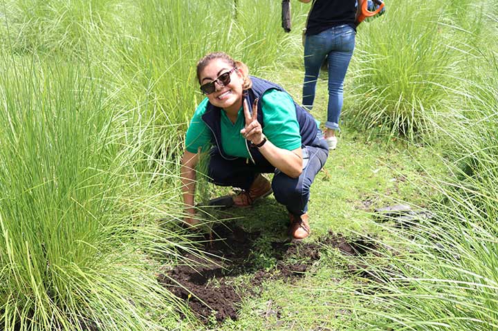 REFORESTACIÓN 2019