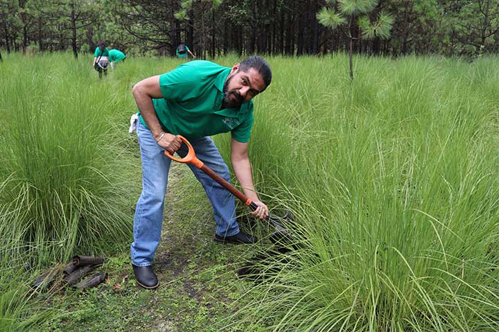 REFORESTACIÓN 2019