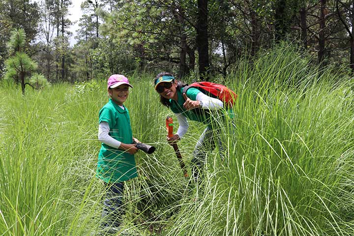 REFORESTACIÓN 2019