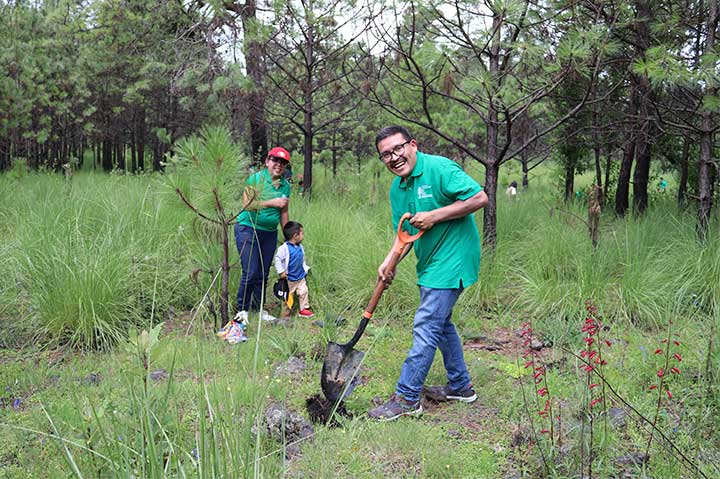 REFORESTACIÓN 2019