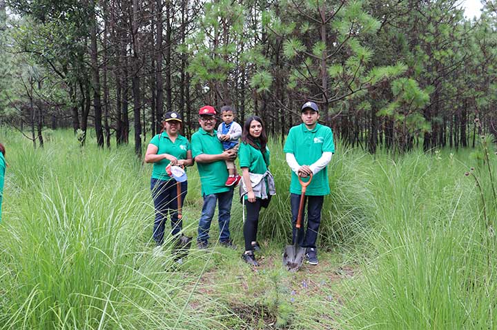 REFORESTACIÓN 2019