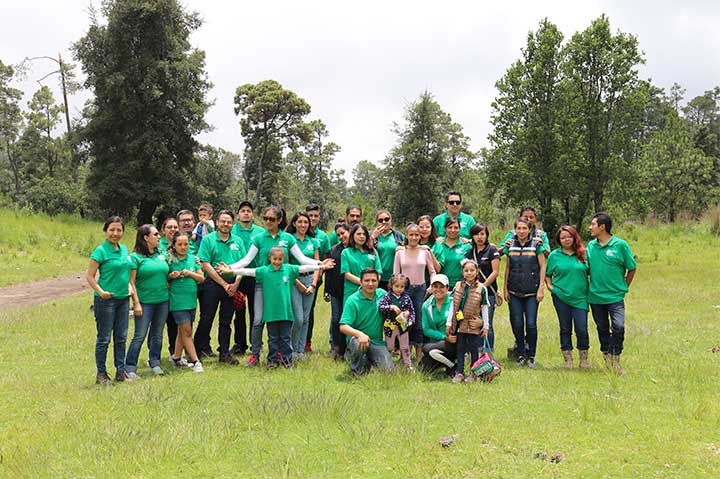 REFORESTACIÓN 2019