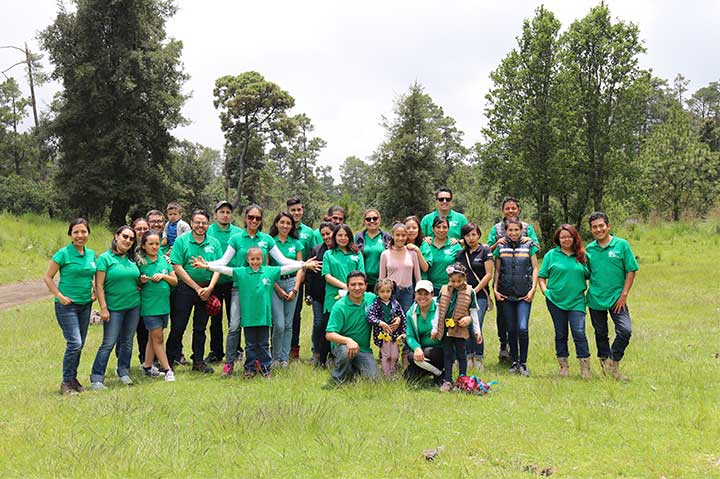 REFORESTACIÓN 2019