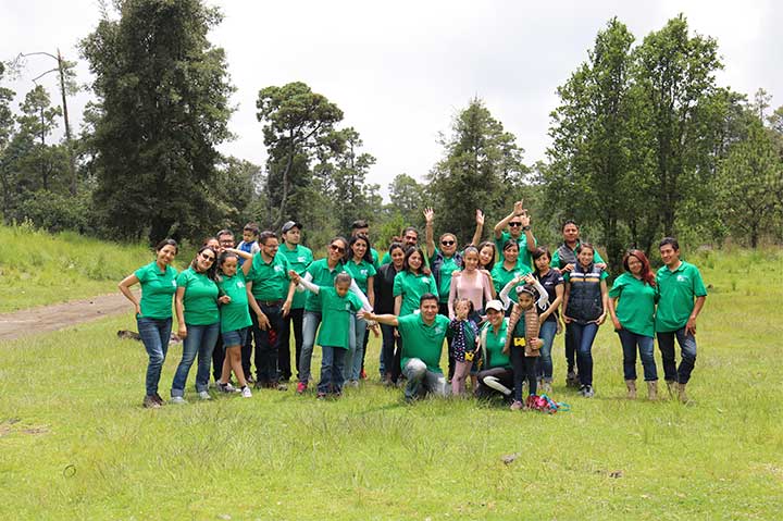 REFORESTACIÓN 2019