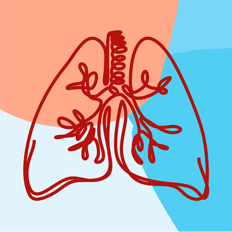 Respiratorios