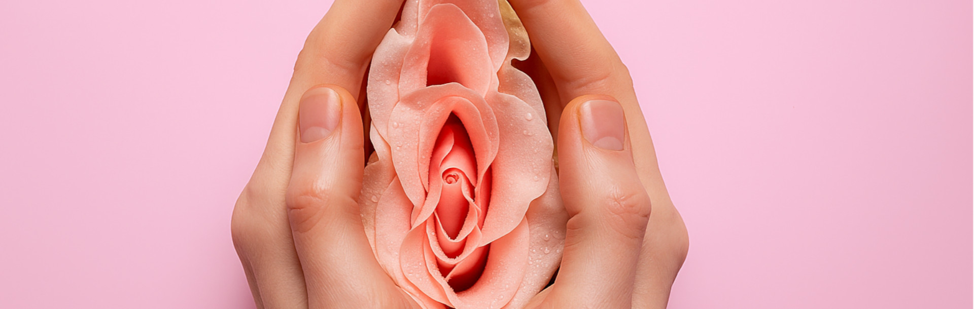 Bartoli…¿Qué? - Siegfried Rhein Sigfrid