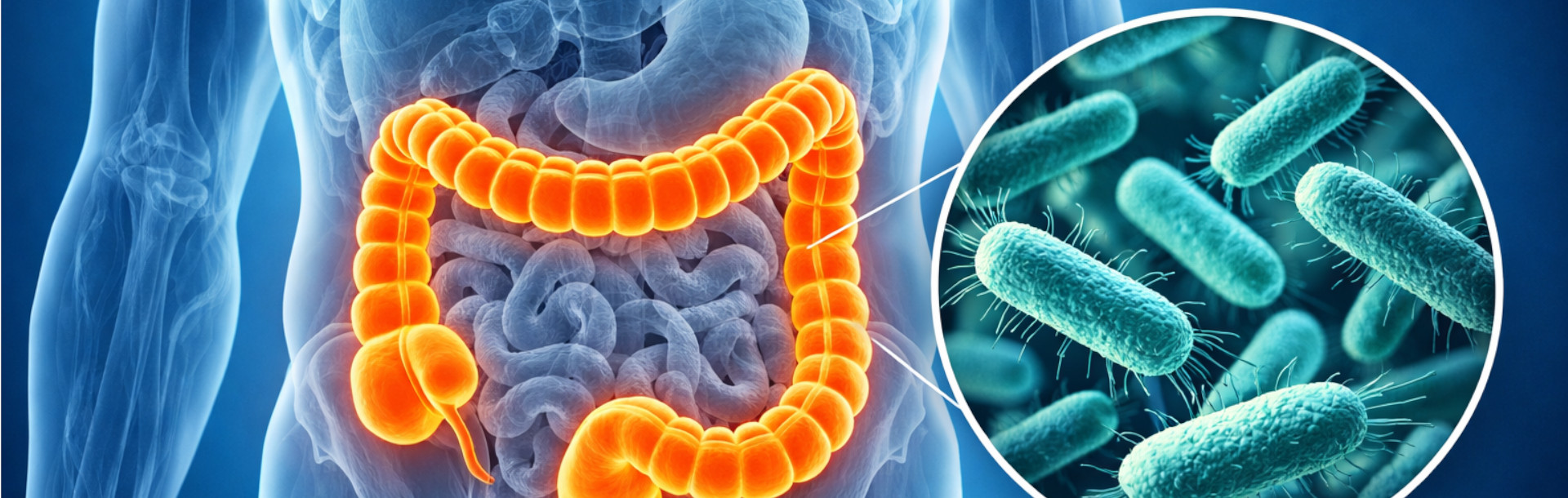 Microbiota y alergias: cómo tus bacteria... - Siegfried Rhein Sigfrid