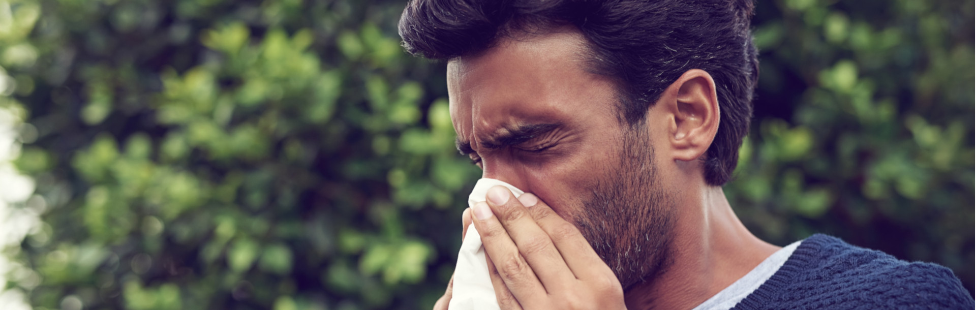 Riesgos de Reprimir el Estornudo - Siegfried Rhein