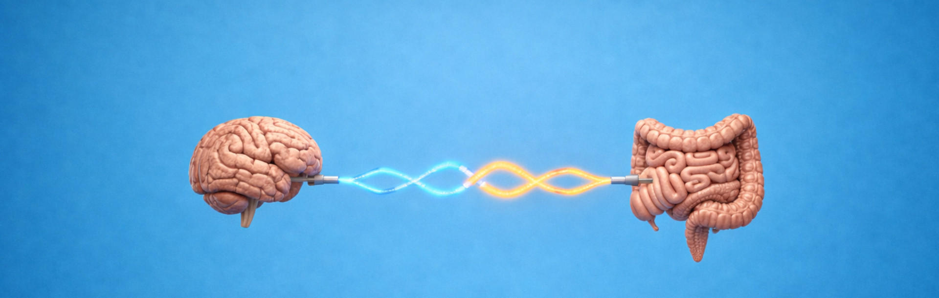 ¿Tu intestino y tu cerebro se comunican?... - Siegfried Rhein Sigfrid