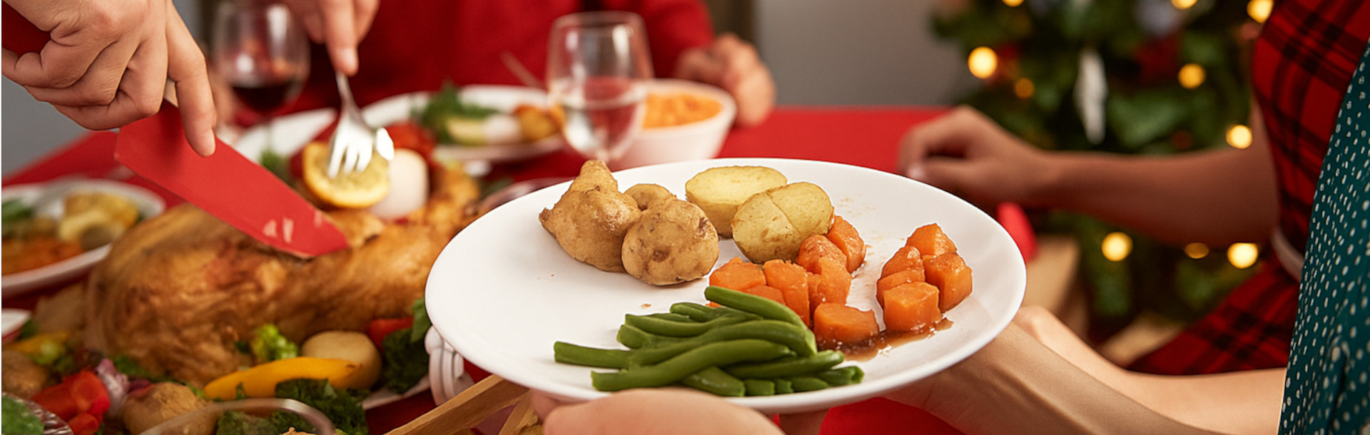 Navidad saludable - Siegfried Rhein