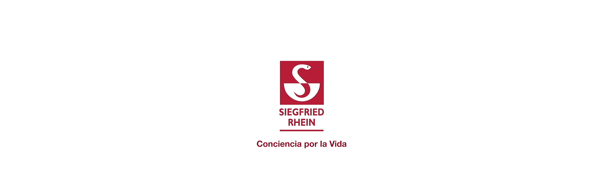 Empresa Socialmente Responsable 2023 - Siegfried Rhein Sigfrid