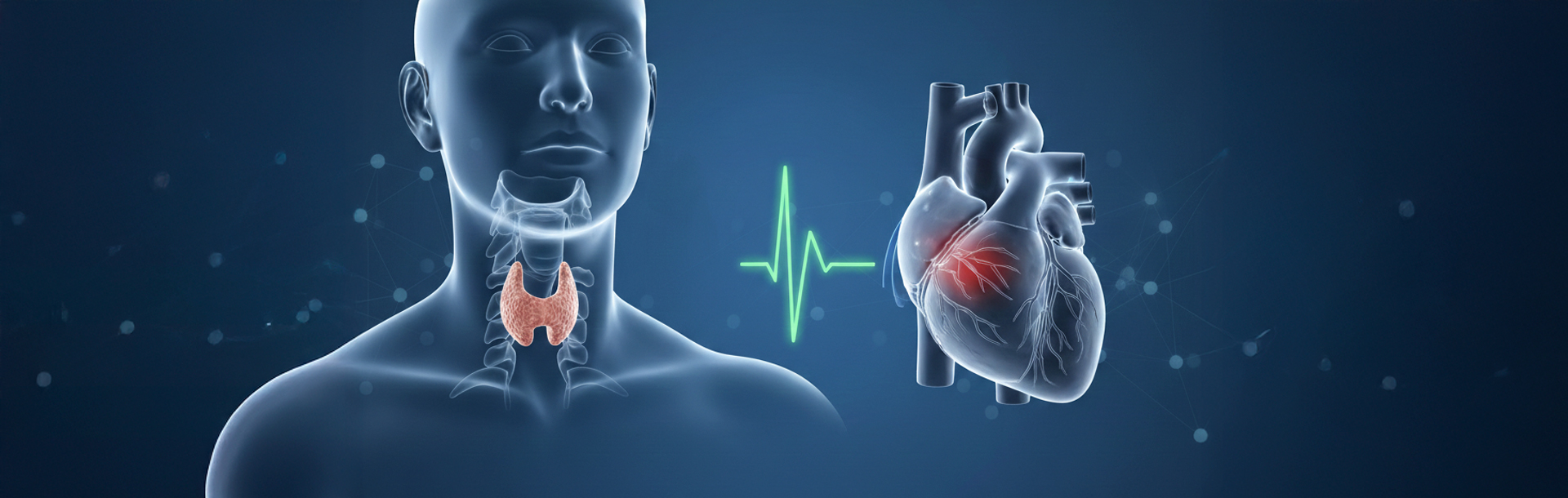 Tu tiroides puede alterar tu ritmo cardíaco, ¿sabías? - Siegfried Rhein Sigfrid