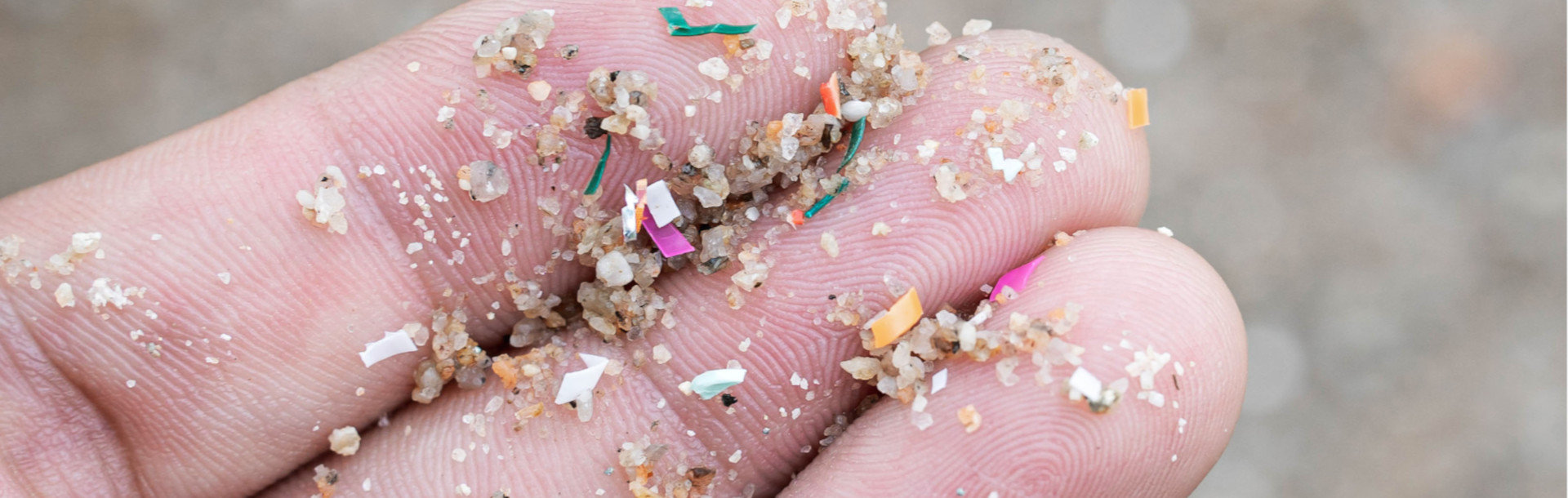 ¿Sabías que tu cuerpo puede contener plástico? - Siegfried Rhein