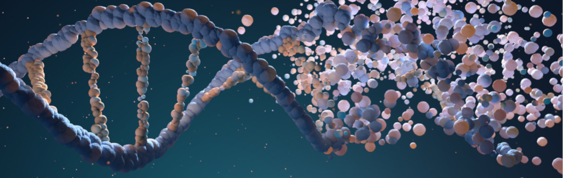 ¿Epigenética? - Siegfried Rhein